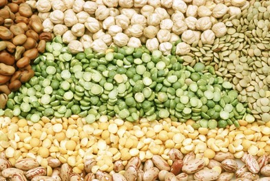 oilseeds