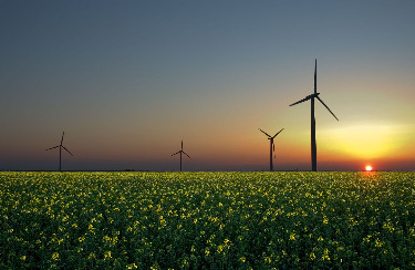 wind
